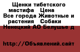 Щенки тибетского мастифа › Цена ­ 80 - Все города Животные и растения » Собаки   . Ненецкий АО,Белушье д.
